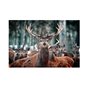 Maalaus Oh Deer - 120x80cm - Lasi