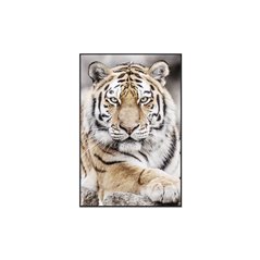 Tavla - Tiger II - 120x80cm - Trä/Glas