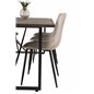 Polar Dining Chair - Beige