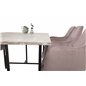 Jepara Dining Table - 250*100*H76 - Grey /Black, Comfort Dining Chair - Pink / Black_6