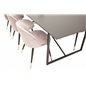 Palace Dining Table - 240*100*H75 - Black / Black, Velvet Dining Chair Brass - Pink / Black_6