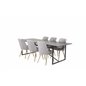 Palace Dining Table - 240*100*H75 - Black / Black, Velvet Deluxe Dining Chair - Light Grey / Brass_6