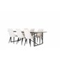 Palace Dining Table - 240*100*H75 - Black / Black, Leone Dining Chair - Beige / Black_6