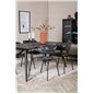 Sleek Extentiontable Black Brushed - 195*95, Arrow armchair - Black Legs - Black Flower printed Fabric_4