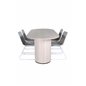 Bianca Oval Dining Table , White Wash Black Veneer+Cirebon Dining Chair , White Wash_4