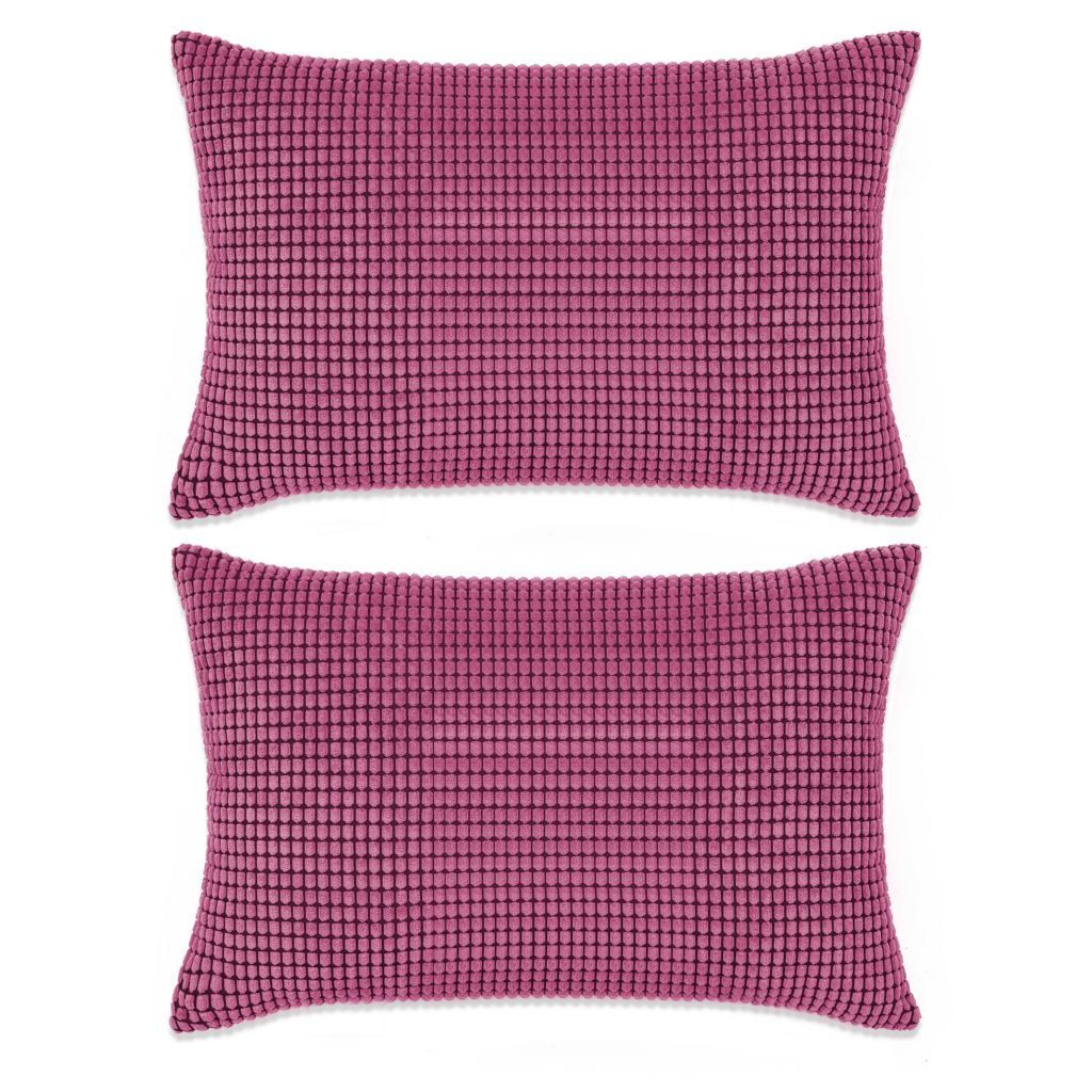 vidaXL Kudde 2 st velour rosa 40x60 cm